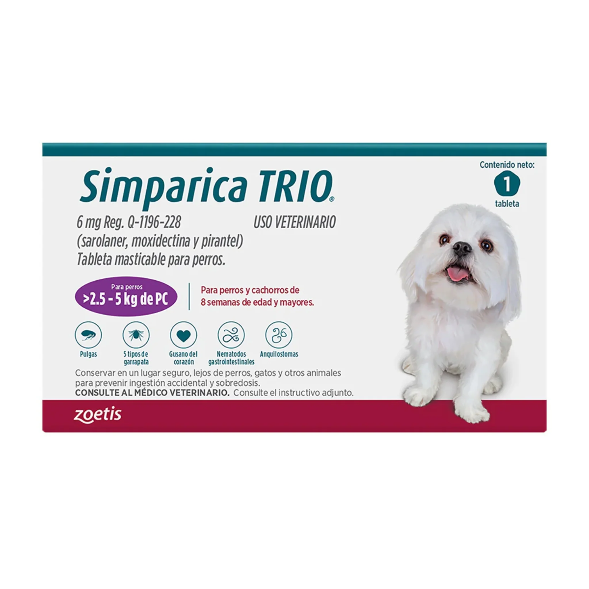 Miniatura 6
